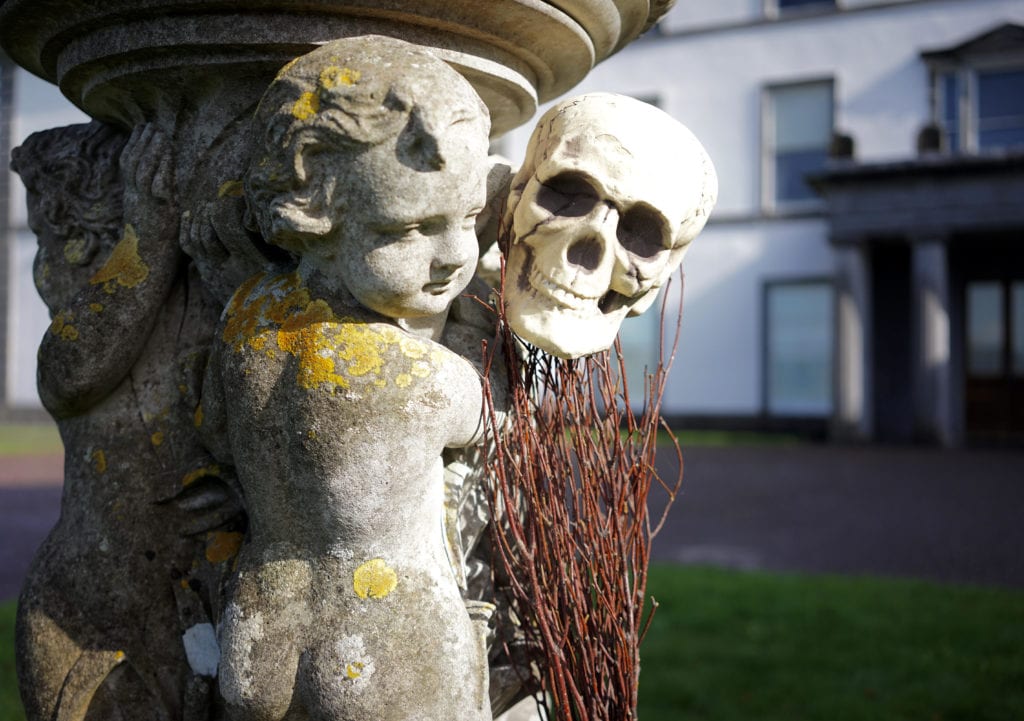 Halloween Creepy Crawl | Ring of Cork | www.ringofcork.ie